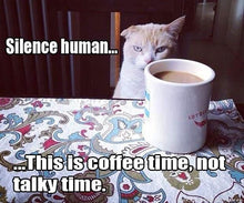 Load image into Gallery viewer, Cartoon of cat needing La Colombe Rwanda Lake Kivu Coffee