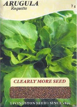 Load image into Gallery viewer, Arugula Roquette