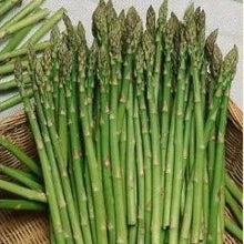 Load image into Gallery viewer, Asparagus Mary Washington