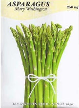 Load image into Gallery viewer, Asparagus Mary Washington