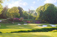 Load image into Gallery viewer, Lebanon Pro Lawn Fertilizer - 20-0-5   - Golf Course