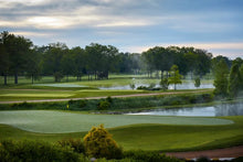 Load image into Gallery viewer, Lebanon Pro Lawn Fertilizer - 20-0-5  golf course results