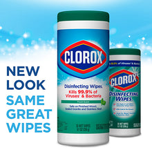 Load image into Gallery viewer, Clorox® Disinfecting Wipes