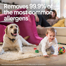 Load image into Gallery viewer, Clorox® Disinfecting Wipes