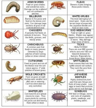 Load image into Gallery viewer, Bayer Merit 0.5G Insecticide - lawn pests