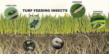 Load image into Gallery viewer, Bayer Merit 0.5G Insecticide - common lawn pests