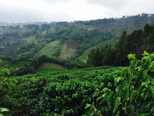 Load image into Gallery viewer, Greater Goods - Take Me Home - Costa Rica S.O. Coffee