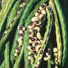 Load image into Gallery viewer, COWPEA - CALIFORNIA BLACKEYE