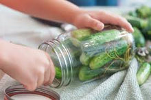 Load image into Gallery viewer, Cucumber - Boston Pickling