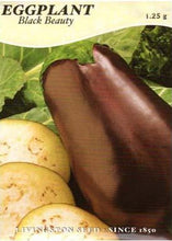 Load image into Gallery viewer, Eggplant Black Beauty