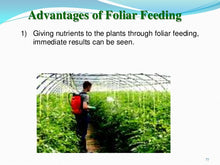 Load image into Gallery viewer, EarthWorks - Protein Plus 14-0-5 Liquid Foliar Fertilizer