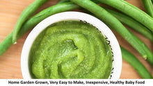 Load image into Gallery viewer, Bean - Earliserve - Bush