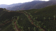 Load image into Gallery viewer, Greater Goods - La Victoria Instant Coffee