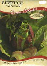 Load image into Gallery viewer, Lettuce - RED ROMAINE