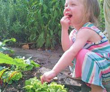 Load image into Gallery viewer, Lettuce - Select Salad Blend