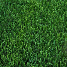 Load image into Gallery viewer, Fisher Marathon Ultra Tall Fescue grass seed lawn