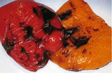 Load image into Gallery viewer, Pepper - YELLOW