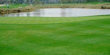 Load image into Gallery viewer, A-1 COMMERCIAL CONTRACTORS GRASS SEED RPR GREEN