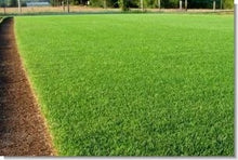 Load image into Gallery viewer, A-1 COMMERCIAL CONTRACTORS GRASS SEED RPR