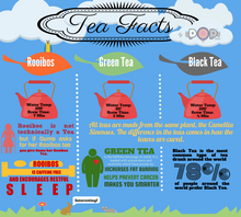Load image into Gallery viewer, Tea Facts and preparation instructions