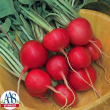 Load image into Gallery viewer, Radish - CHERRY BELLE