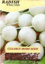 Load image into Gallery viewer, Radish White Globe