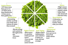 Load image into Gallery viewer, Republic of Tea Double Green® Matcha Tea benefits
