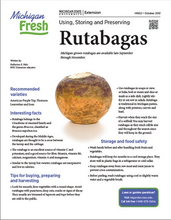Load image into Gallery viewer, Rutabaga - AMERICAN PURPLE TOP