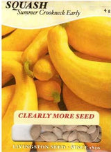 Load image into Gallery viewer, Squash - SUMMER CROOKNECK EARLY