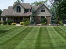 Load image into Gallery viewer, Sunny Lawn Sun and Shade results