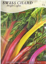 Load image into Gallery viewer, Swiss Chard - BRIGHT LIGHTS