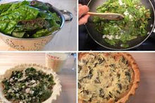 Load image into Gallery viewer, Swiss Chard - BRIGHT LIGHTS