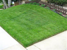 Load image into Gallery viewer, Performance Grass Seed Mix Results