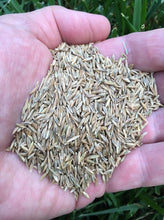 Load image into Gallery viewer, Performance Water Conservation Grass Seed Mix seeds