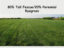 Load image into Gallery viewer, Advantage Grass Seed Mix - Certified - 80/20 Tall Fescue, Perennial Ryegrass - 50 lbs