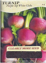 Load image into Gallery viewer, Turnip - PURPLE TOP WHITE GLOBE