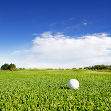 Load image into Gallery viewer, A-1 COMMERCIAL CONTRACTORS GRASS FAIRWAY WITH BALL
