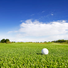 Load image into Gallery viewer, Performance Water Conservation Grass Seed Mix golf course