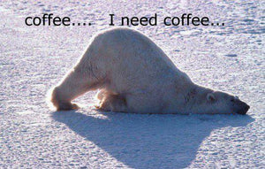 Funny meme of sleepy polar bear needing La Colombe Frogtown Coffee