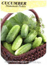 Load image into Gallery viewer, Cucumber Homemade Pickles