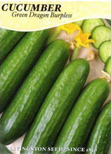 Load image into Gallery viewer, Cucumber Green Dragon Burpless