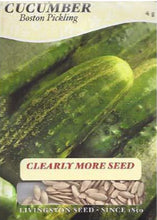 Load image into Gallery viewer, Cucumber Boston Pickling