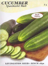 Load image into Gallery viewer, Cucumber Spacemaster Bush