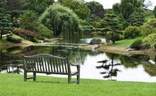 Load image into Gallery viewer, Lebanon Pro Lawn Fertilizer with Insecticide 17-0-3  results 2