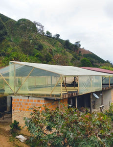 La Colombe Colombia San Roque Coffee bean drying