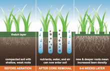 Load image into Gallery viewer, Earthworks Fertilizers Aeration