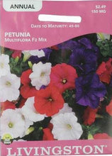 Load image into Gallery viewer, Livinstong Seed - Petunia Multiflora 1