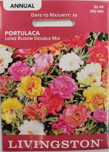 Load image into Gallery viewer, Livingston Seed - Portulaca Long Bloom Double Mix 1