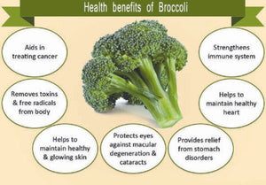 Bonnie Plants Green Magic Broccoli health benefits