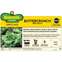Load image into Gallery viewer, Bonnie Plants Buttercrunch Lettuce instructions